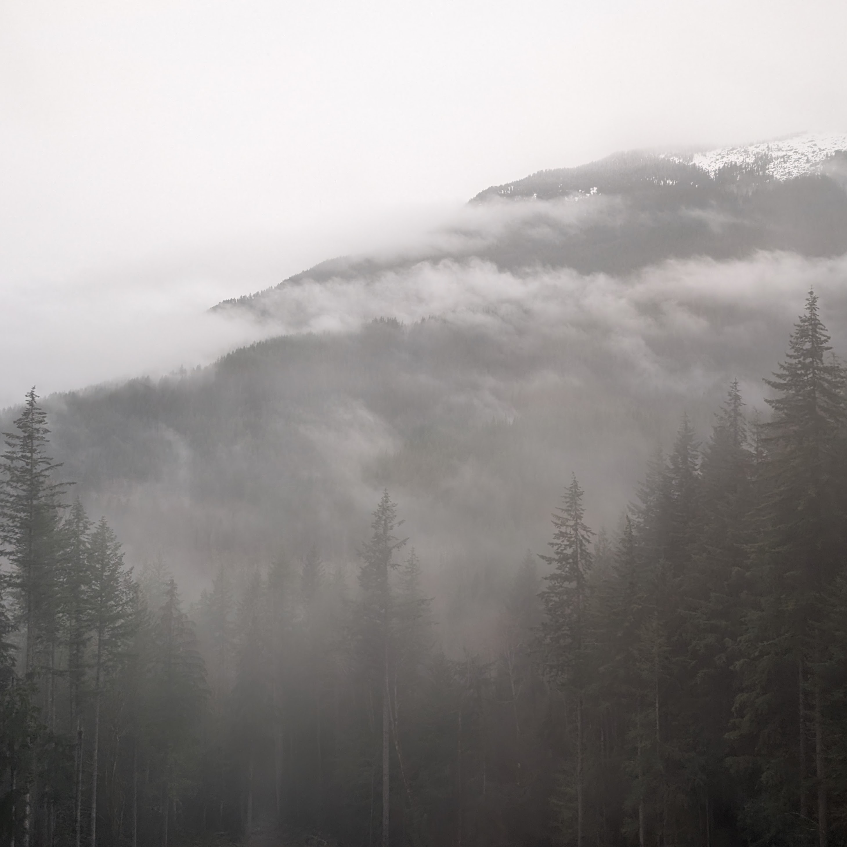 Photo by <a href="https://unsplash.com/@bchen22?utm_content=creditCopyText&utm_medium=referral&utm_source=unsplash">Bell C.</a> on <a href="https://unsplash.com/photos/a-tree-with-many-branches--Ao0aNqiquc?utm_content=creditCopyText&utm_medium=referral&utm_source=unsplash">Unsplash</a>       