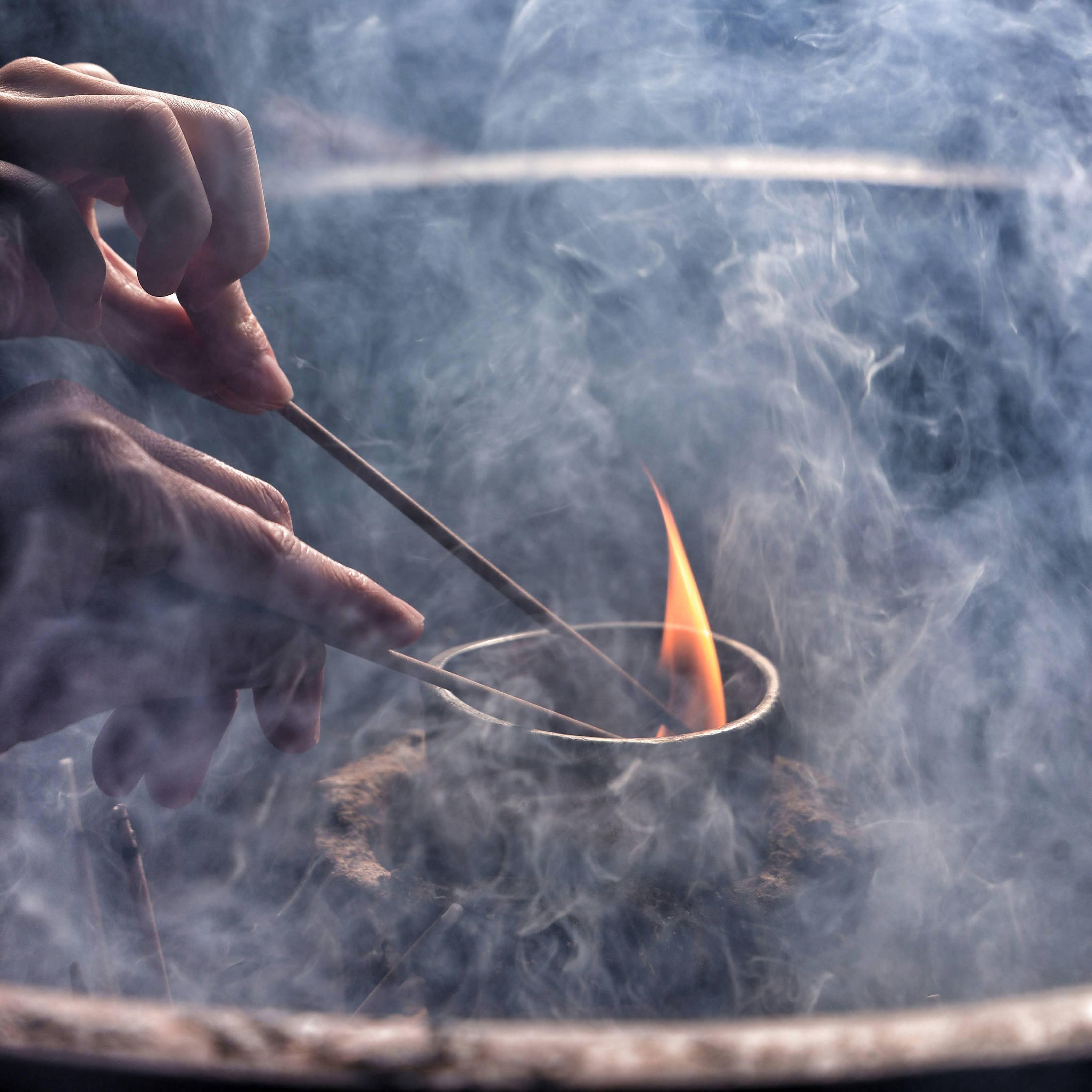 Photo by <a href="https://unsplash.com/@milo_contreras?utm_content=creditCopyText&utm_medium=referral&utm_source=unsplash">Camilo Contreras</a> on <a href="https://unsplash.com/photos/a-close-up-of-a-plant-with-smoke-coming-out-of-it-TwJYlGfOpEc?utm_content=creditCopyText&utm_medium=referral&utm_source=unsplash">Unsplash</a>       